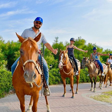 Barricata Holiday Village Scardovari Exterior photo Horse riding in the Everglades